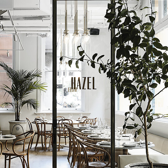 Interior photograph of Hazel by Derek Swalwel