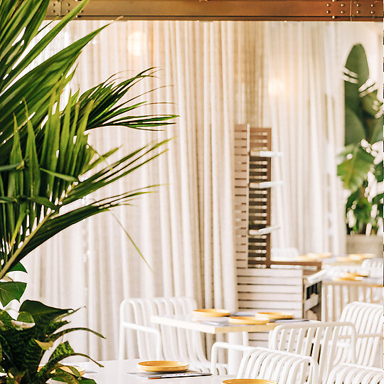 Interior photograph of Euro by Nick Stavely