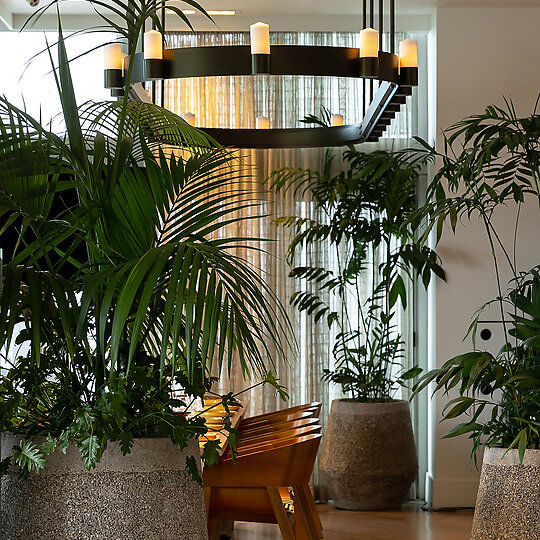 Interior photograph of Euro by Jono Parker
