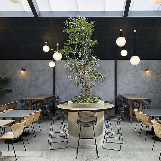 Interior photograph of Teller by Jenah Piwanksi