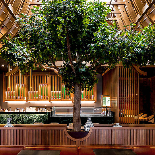 Interior photograph of Master Lanzhou Noodle Bar by Chris Murray - Chrism Photography