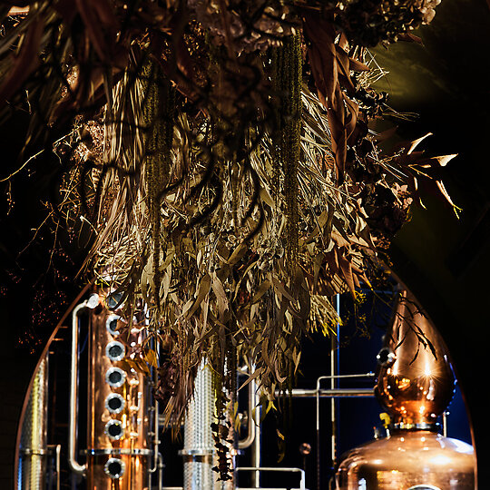 Interior photograph of Naught Gin by Graham Denholm