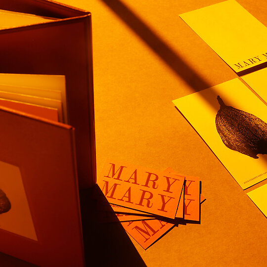 Interior photograph of Mary Mary Brand Identity by Matt Edwards