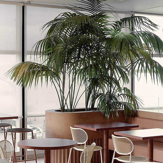 Interior photograph of The Common by David Chatfield