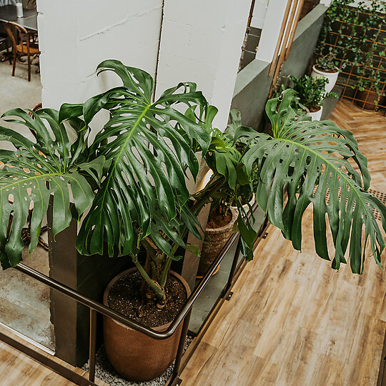 Interior photograph of King Tide Brewing by and the trees photography