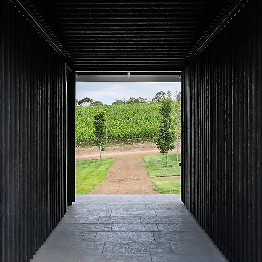 Interior photograph of Tolpuddle Tasting Pavilion by Adam Gibson